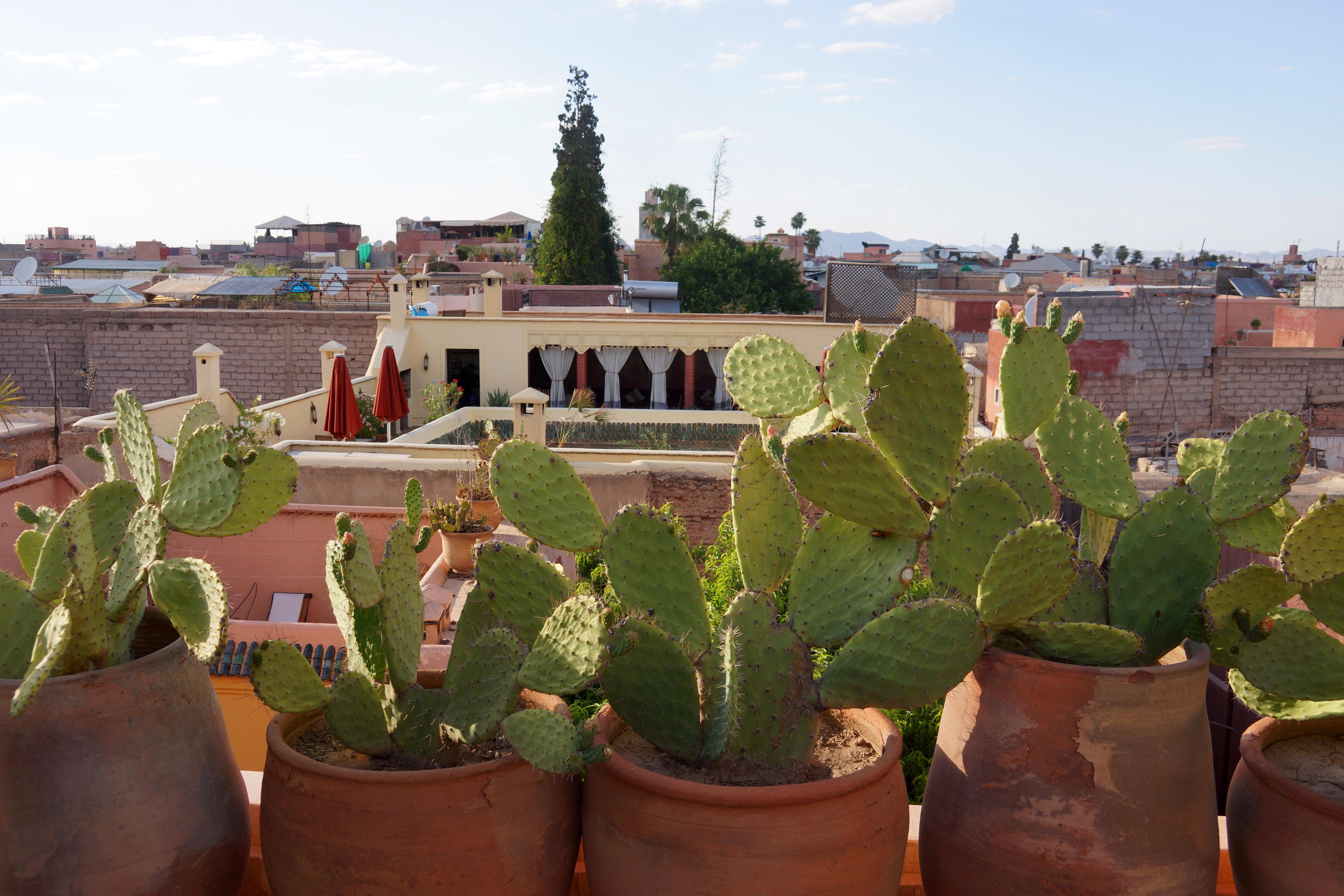 Riad Marrakiss Marrakesh Buitenkant foto